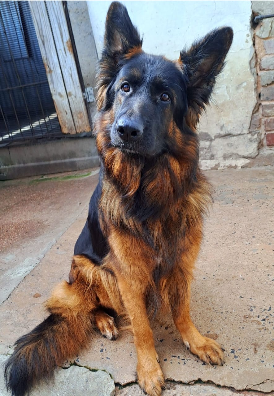 Bailey_Front_Vom_Haus_Calem1