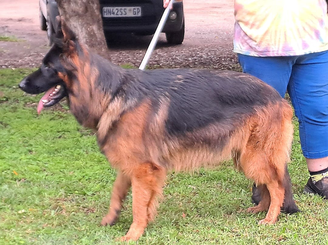 Bailey_side_Vom_Haus_Calem_1