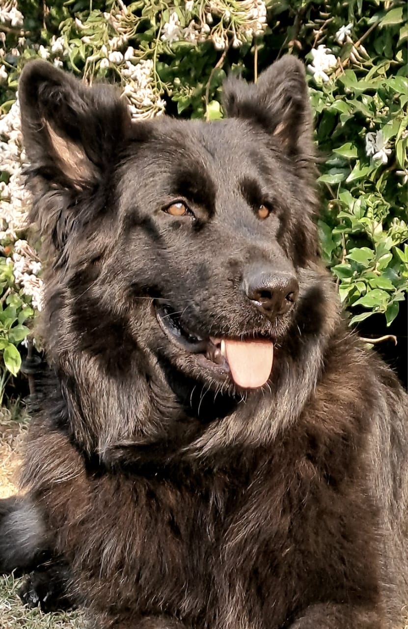 Olga_side_Allogarten_3