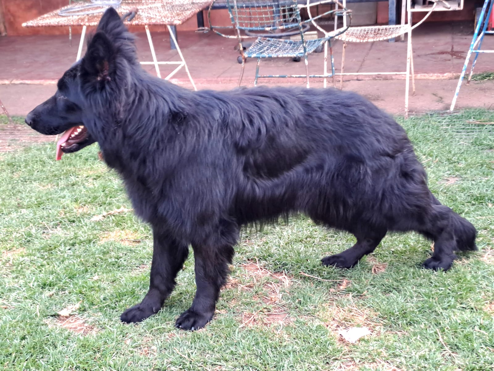 Olga_side_Allogarten_4