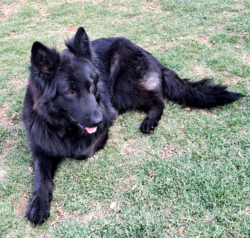 Olga_side_vom_Allogarten_2