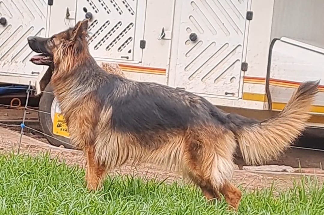 Twyla_Le_Danjoli_new_2